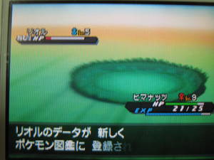 リオルのデータが新しくポケモン図鑑に登録されます 東海道くんのあれこれ