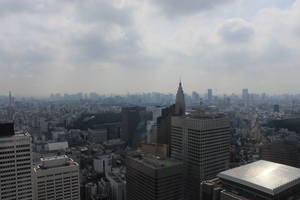 東京都庁から見た絶景