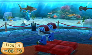 博物館＠水族館