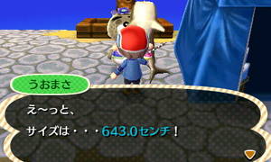 うおまさ「え～っと、サイズは・・・643cm！」