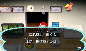 これ以上　置くと　床が抜けちゃうヨ！