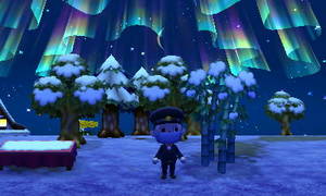 たけのこを植えた翌々日