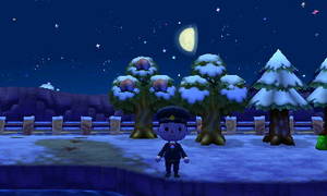 住民が立ち入らない場所