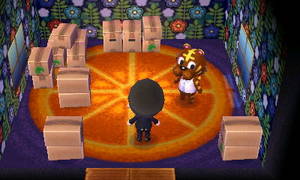 ルーズ引越し作業