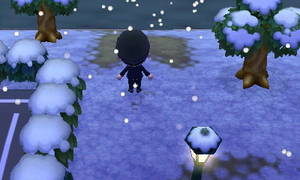 跡形もなく消えたルーズの家