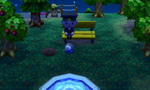 23時36分　草が見えている