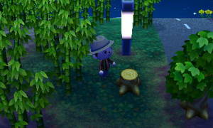 イチョウの葉の形をした年輪