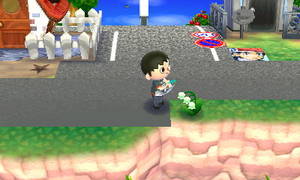 道路のそばに生えているスズラン