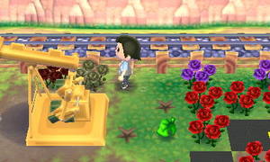 右側の薔薇が枯れている