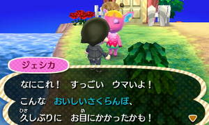 なにこれ！　すっごい　ウマいよ！　こんな　おいしいさくらんぼ　久しぶりに　お目にかかったかも！」