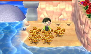 金の薔薇3本移し替え