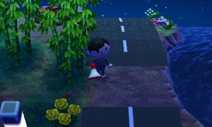 竹やぶ付近の道路＠一時撤去