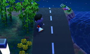 竹やぶ付近の道路