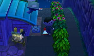 Rパーカーズ付近の道路