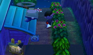 Rパーカーズ付近の道路＠一時撤去