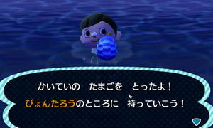 かいていの　たまごを　とったよ！　ぴょんたろうのところに　持っていこう！