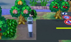 おいしいモモが実った木