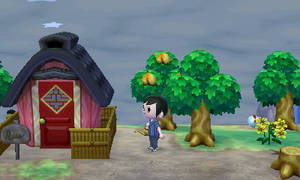 チャウヤンが引越してきた