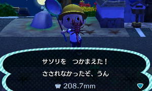 サソリを　つかまえた！　さされなかったぞ、うん　208.7mm