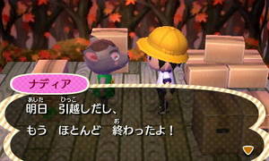 ナディア「明日引越しだし、もう　ほとんど　終わったよ！」