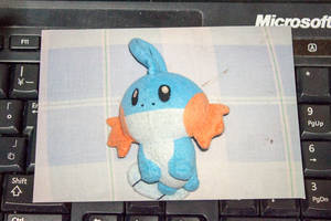 7年前のミズゴロウ