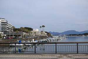 近畿大学水産研究所白浜実験場付近