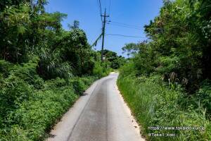 喜屋武岬へ行く道