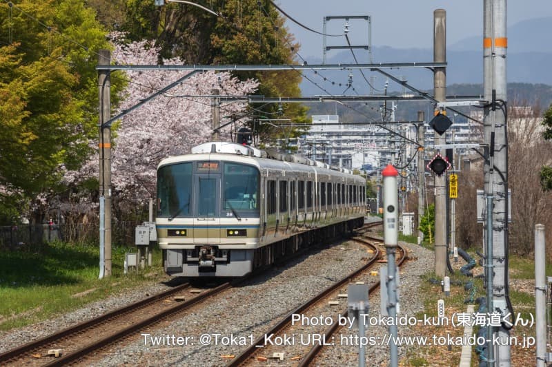 満開の桜と木幡駅を通過する221系
