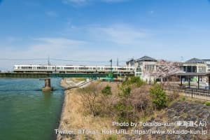 桜咲く宇治川を通過する221系