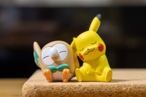 モクローとピカチュウ